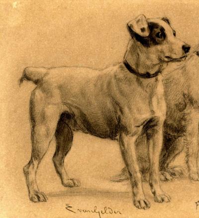 Eugène van Gelder (D’après) - 