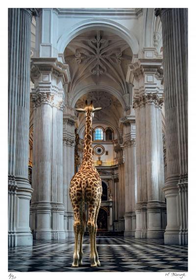 Mr STRANGE - Les Hautes Voûtes, 2021 - Sérigraphie signée et numérotée