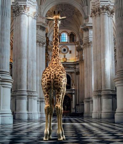 Mr STRANGE - Les Hautes Voûtes, 2021 - Sérigraphie signée et numérotée 2