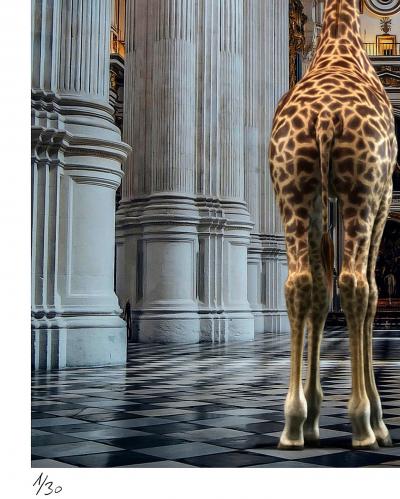 Mr STRANGE - Les Hautes Voûtes, 2021 - Sérigraphie signée et numérotée 2