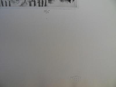 Mily POSSOZ: The Florist - Original signed engraving 2