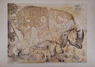 Salvador DALI -  Rhinocéros - Gravure originale signée au crayon et numérotée