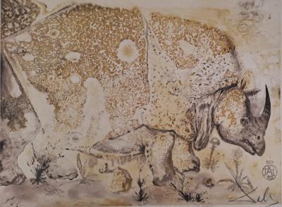 Salvador DALI -  Rhinocéros - Gravure originale signée au crayon et numérotée 2