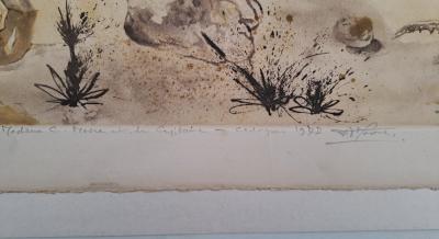 Salvador DALI -  Rhinocéros - Gravure originale signée au crayon et numérotée 2