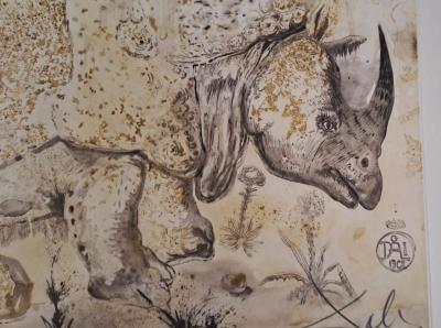 Salvador DALI -  Rhinocéros - Gravure originale signée au crayon et numérotée 2