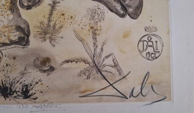 Salvador DALI -  Rhinocéros - Gravure originale signée au crayon et numérotée 2
