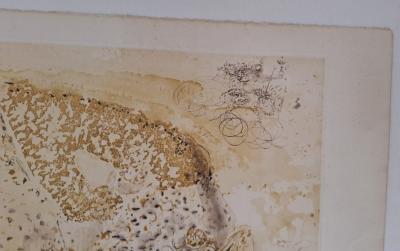 Salvador DALI -  Rhinocéros - Gravure originale signée au crayon et numérotée 2