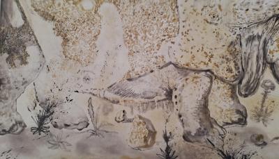 Salvador DALI -  Rhinocéros - Gravure originale signée au crayon et numérotée 2