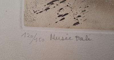 Salvador DALI -  Rhinocéros - Gravure originale signée au crayon et numérotée 2