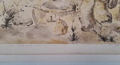 Salvador DALI -  Rhinocéros - Gravure originale signée au crayon et numérotée 2