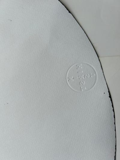 Damien Hirst - Circle Spin - 2009 - Acrylique et peinture métallique sur papier épais 2