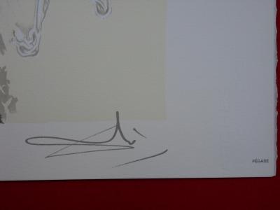 Salvador DALI: The Horses, Pegasus - Signed Lithograph 2