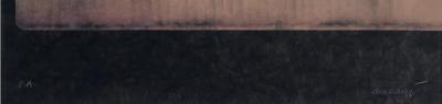 Jean Paul DONADINI: The Swan in the Cardboard Box - Original signed lithograph 2