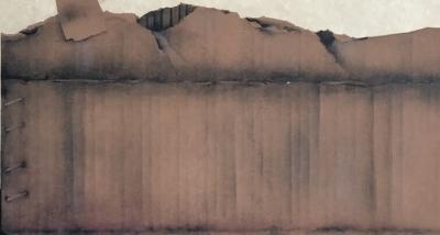 Jean Paul DONADINI: The Swan in the Cardboard Box - Original signed lithograph 2