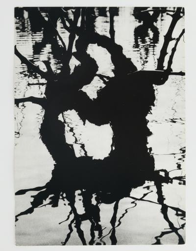 Lucien CLERGUE: Fourgues - Original signed heliogravure 2