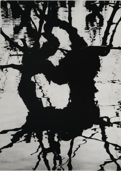 Lucien CLERGUE: Fourgues - Original signed heliogravure 2