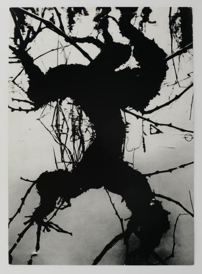 Lucien CLERGUE: Secret Camargue - Original signed heliogravure 2