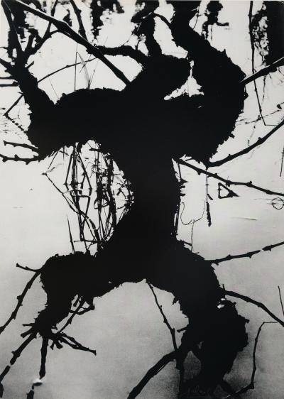 Lucien CLERGUE: Secret Camargue - Original signed heliogravure 2