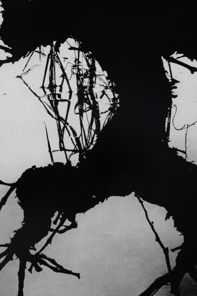 Lucien CLERGUE: Secret Camargue - Original signed heliogravure 2