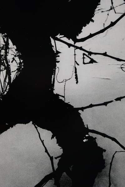 Lucien CLERGUE: Secret Camargue - Original signed heliogravure 2