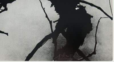 Lucien CLERGUE: Secret Camargue - Original signed heliogravure 2