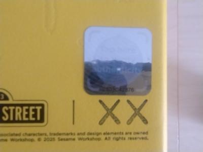 KAWS - Kaws & Sesame Street Big Bird Kaws 2025 - Sculpture en résine 2