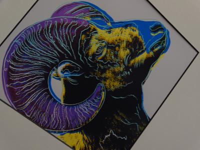 Andy Warhol - Bighorn, extrait de la série Endangered Species - 1987, sérigraphie 2