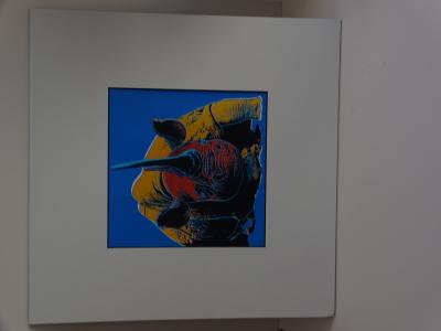 Andy Warhol - Rhinocéros, extrait de la série Espèces menacées - 1987, sérigraphie 2