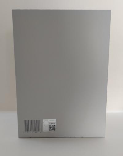 Richard Orlinski -Standing Bear, 2025 - sculpture 2