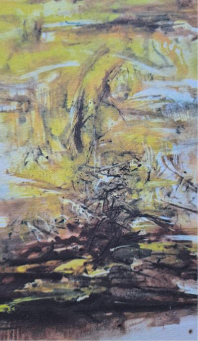 Zao Wou Ki -  Illuminations 1996 - Héliogravure  - signée 2