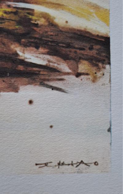 Zao Wou Ki -  Illuminations 1996 - Héliogravure  - signée 2