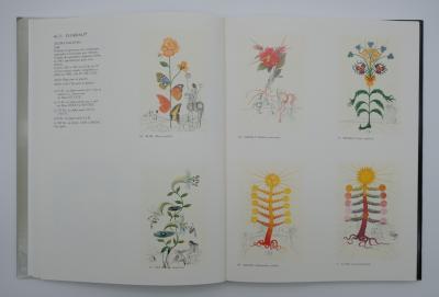 Salvador Dalí: Catalogue Raisonné Sahli - 257 original works 2