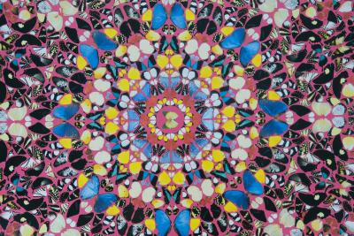 Damien HIRST : Superstition - Affiche originale en couleurs 2