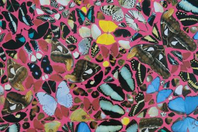 Damien HIRST : Superstition - Affiche originale en couleurs 2