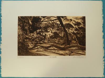 Gerard DIAZ: The Wind - Original signed engraving 2