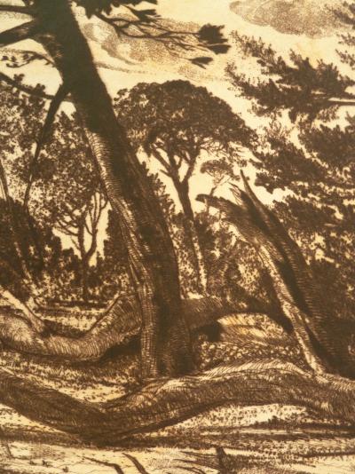 Gerard DIAZ: The Wind - Original signed engraving 2