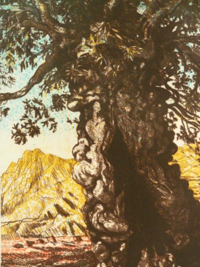 Gerard DIAZ: The Olive Tree - Original signed engraving 2