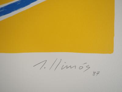 Robert LLIMOS: Fish and Cat - Original signed lithograph 2