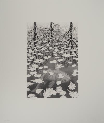 Maurits Cornelis Escher : Automne et carpe, Fac-similé du bois gravé original, 450ex 2