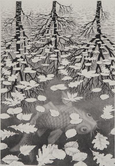 Maurits Cornelis Escher : Automne et carpe, Fac-similé du bois gravé original, 450ex 2