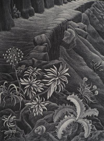 Maurits Cornelis Escher : Paysage italien Castrovalva, Fac-similé du bois gravé original, 450ex 2
