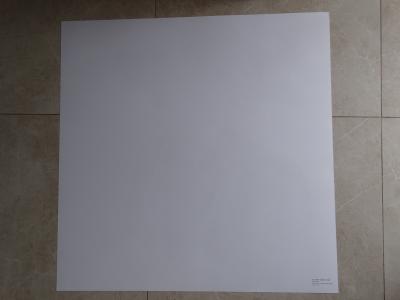 Andy Warhol (d’après) - Général Custer, 1986, sérigraphie 2