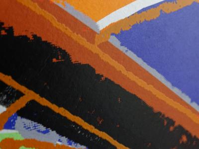 Andy Warhol  Rhinoiceros  - Sérigraphie  - 1983 2