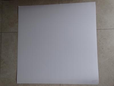 Andy Warhol  Rhinoiceros  - Sérigraphie  - 1983 2