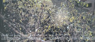 Christo et Jeanne-Claude - Promenade sous les drapeaux oranges, Central Park New York, 2005 - Lithographie offset 2