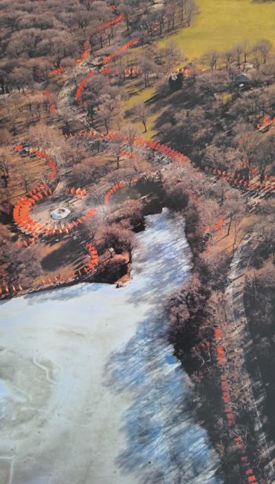 Christo et Jeanne-Claude - Vue aérienne de Central Park, New York, 2005 - Lithographie offset 2