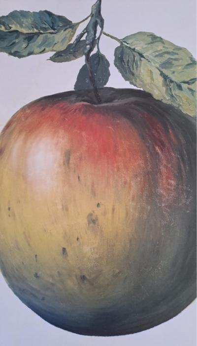 René Magritte (d’après) - Ceci n’est pas une pomme, 2009 - Lithographie offset, signée 2