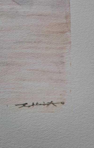 Zao Wou Ki -  Illuminations - Héliogravure  - signée 2