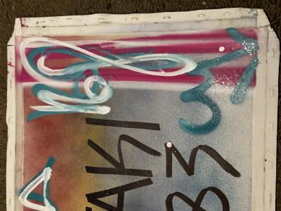 Tracy 168 & Taki 183 - 2015 - Technique mixte sur toile 2