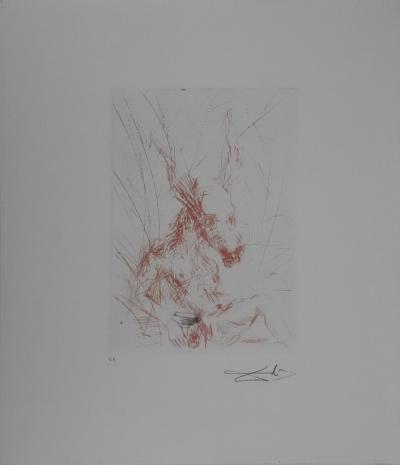Salvador Dali  - Songe d’une nuit d’été - Héliogravure signée 2